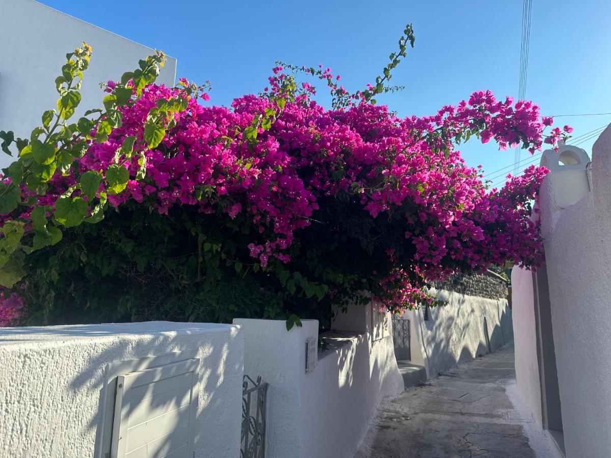 Villa Kefia 1 Mesaria Esterno foto